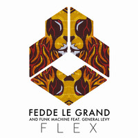 Fedde Le Grand and Funk Machine feat. General Levy - Flex