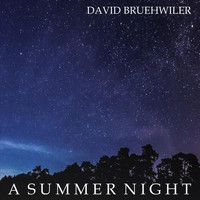 David Bruehwiler - A Summer Night
