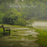 Rain Sounds, Nature Sounds & Rain for Deep Sleep - Relaxing Spring Rain