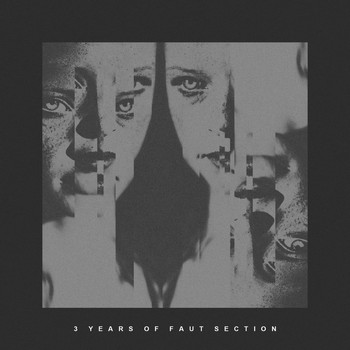 Various Artists - 3 Years Of Faut Section