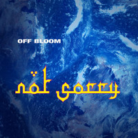 Off Bloom - Not Sorry (Explicit)