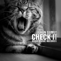 Ilhan Gumus - Check It