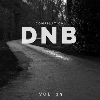 DnB Music Compilation Vol. 19 Various Artists