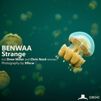 Benwaa - Strange