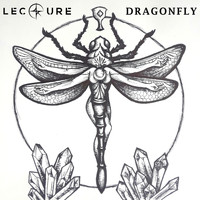 Lecture - Dragonfly