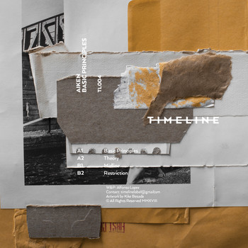 Aiken - Basic Principles