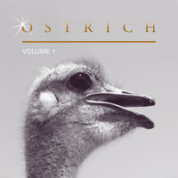 Image Sounds - Ostrich, Vol. 1