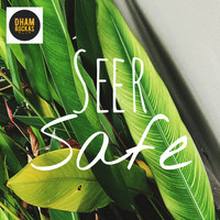 Seer - Safe