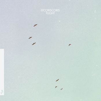 Lycoriscoris - Flight