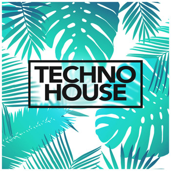 Various Artists - Techno House