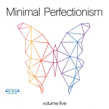 Various Artists - Minimal Perfectionism, Vol. 5