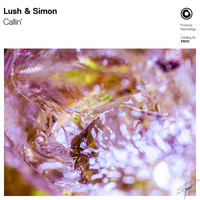 Lush & Simon - Callin'