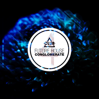 Various Artists - Future House Conglomerate Vol.4