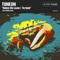 Tuneon - Before We Leave - Try Hard EP