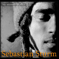 Sebastian Sturm - One Moment in Peace