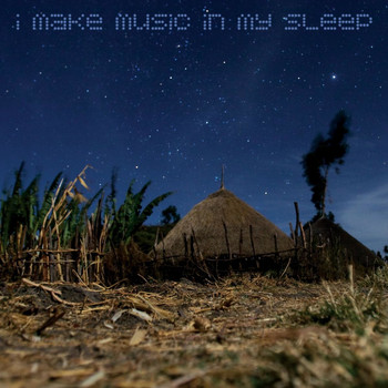 Various Artists - I Make Music in My Sleep