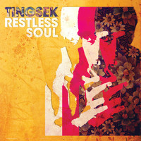 Tingsek - Restless Soul