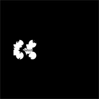 33 - Debüt