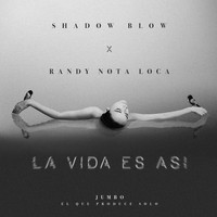 Shadow Blow - La Vida Es Así