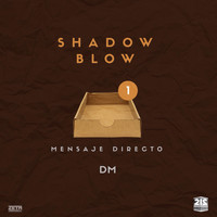 Shadow Blow - Mensaje Directo (DM)