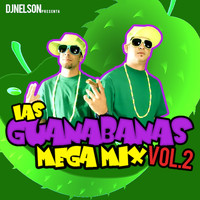 DJ Nelson - Las Guanabanas Mega Mix, Vol.2