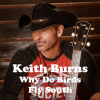Keith Burns - Why Do Birds Fly South