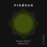 Pig&Dan - Modular Baptism Remixed, Pt. 2