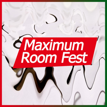 Various Artists - Maximum Room Fest
