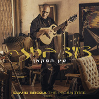 David Broza - The Pecan Tree