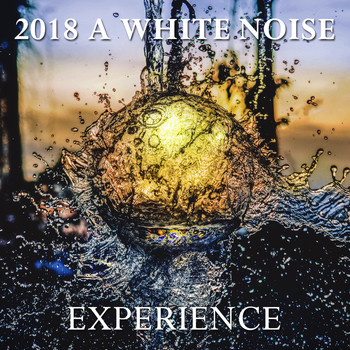 White Noise Babies, Meditation Awareness, White Noise Research - 2018 A White Noise Experience