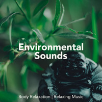 Om - Tibetan Relaxation & Piano Music Songs - Environmental Sounds for Body Relaxation, Relaxing Music, Asian Instrumental Songs