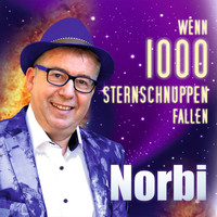 Norbi - Wenn 1000 Sternschnuppen fallen