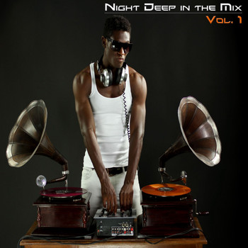 Various Artists - Night Deep in the Mix, Vol. 1