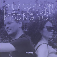 Andy Compton - Missing You