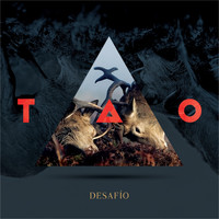 TAO - Desafío