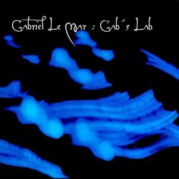 Gabriel Le Mar - Gab's Lab