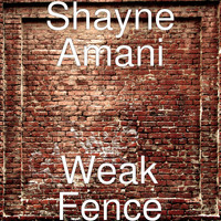 Shayne Amani - Weak Fence