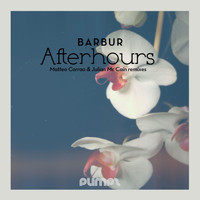 Barbur - Afterhours
