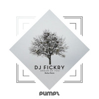 DJ Fickry - Dream of You