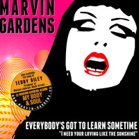 MARVIN GARDENS - Everybody's Got to Learn Sometime