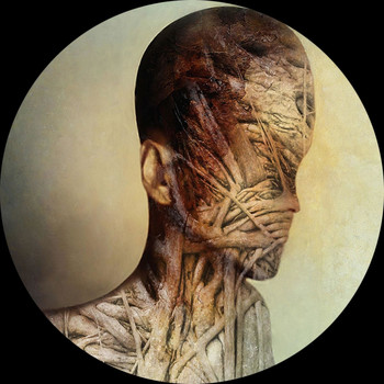 Ricardo Garduno - Signs