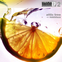 Attic Tree - Reminisce