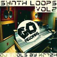 Korzh - Synth Loops Vol 2 (DJ Tools)