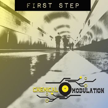 Chemical Modulation - First Step