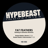 Fat Feathers - Nothing in Between (Robert Babicz Remixes)