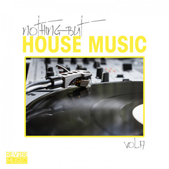 Various Artists - Nothing but House Music, Vol. 17