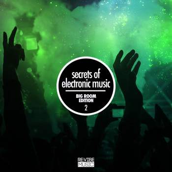 Various Artists - Secrets of Electronic Music - Big Room Edition, Vol. 2