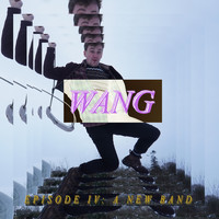 Wang - endatheline