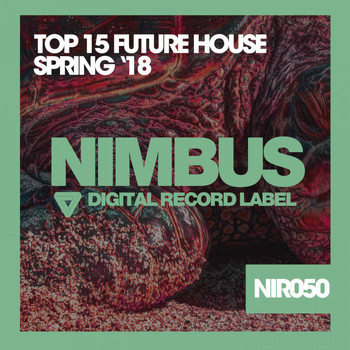 Various Artists - Top 15 Future House (Spring '18)