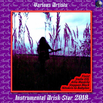 Various Artists - Instrumental Arisk Star 2018